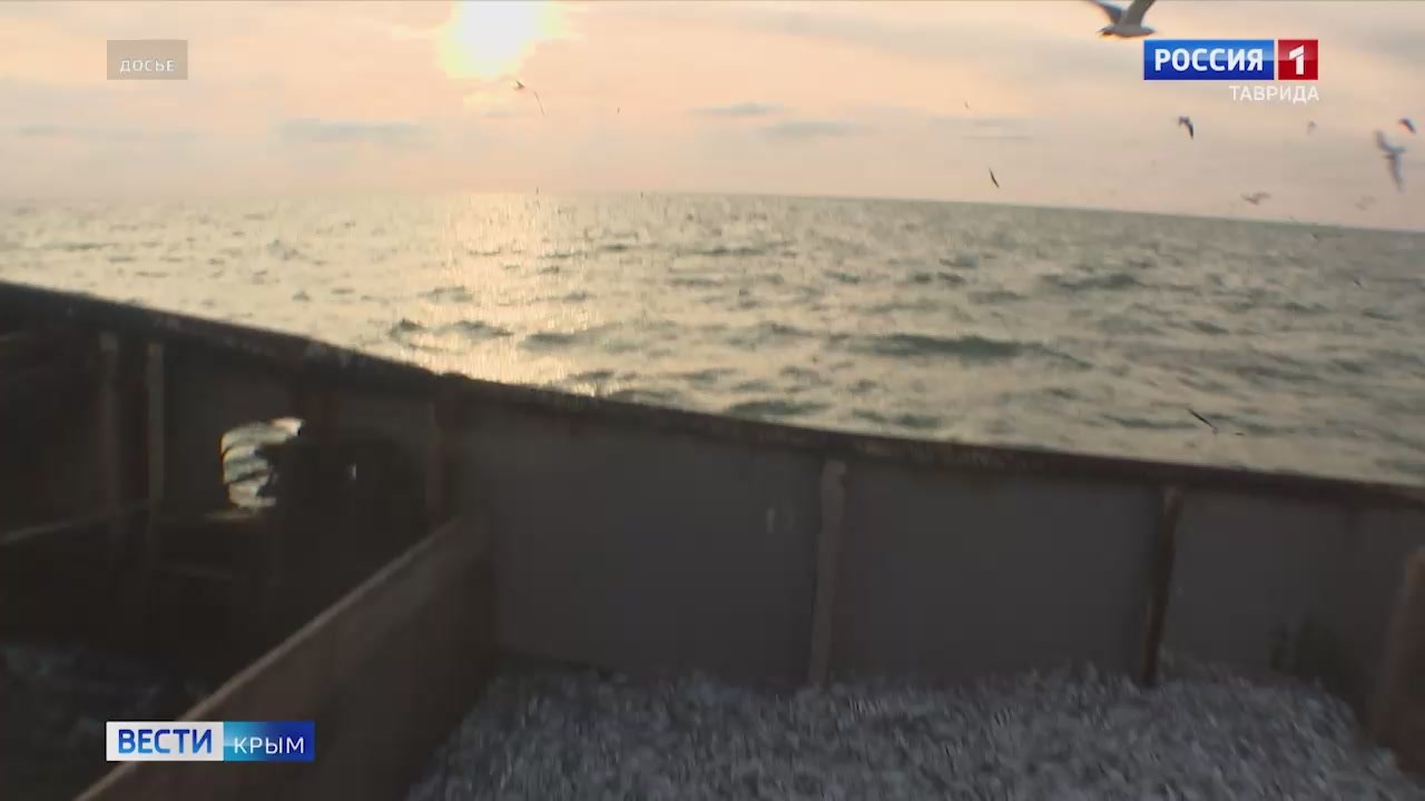 Сегодня, 31 октября, отмечается День Чёрного моря