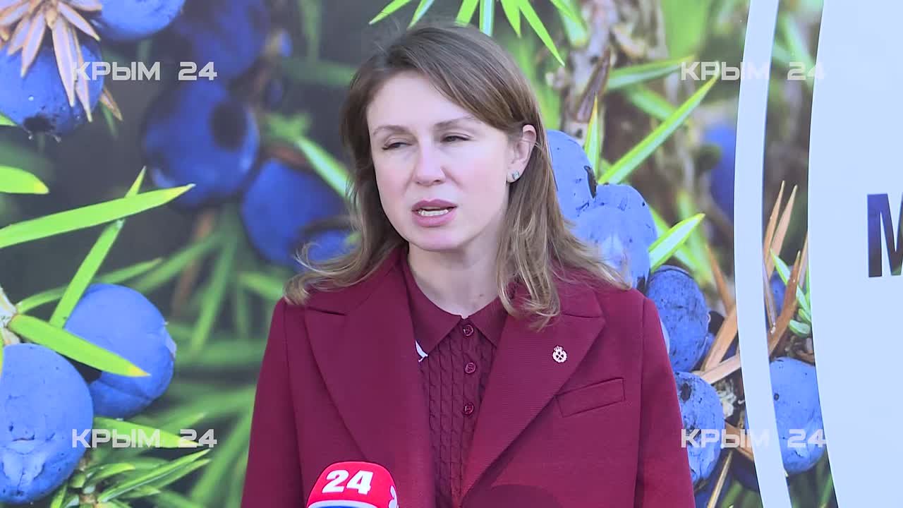 Шевцова сообщила о масштабной высадке деревьев и восстановлении лесов в Крыму