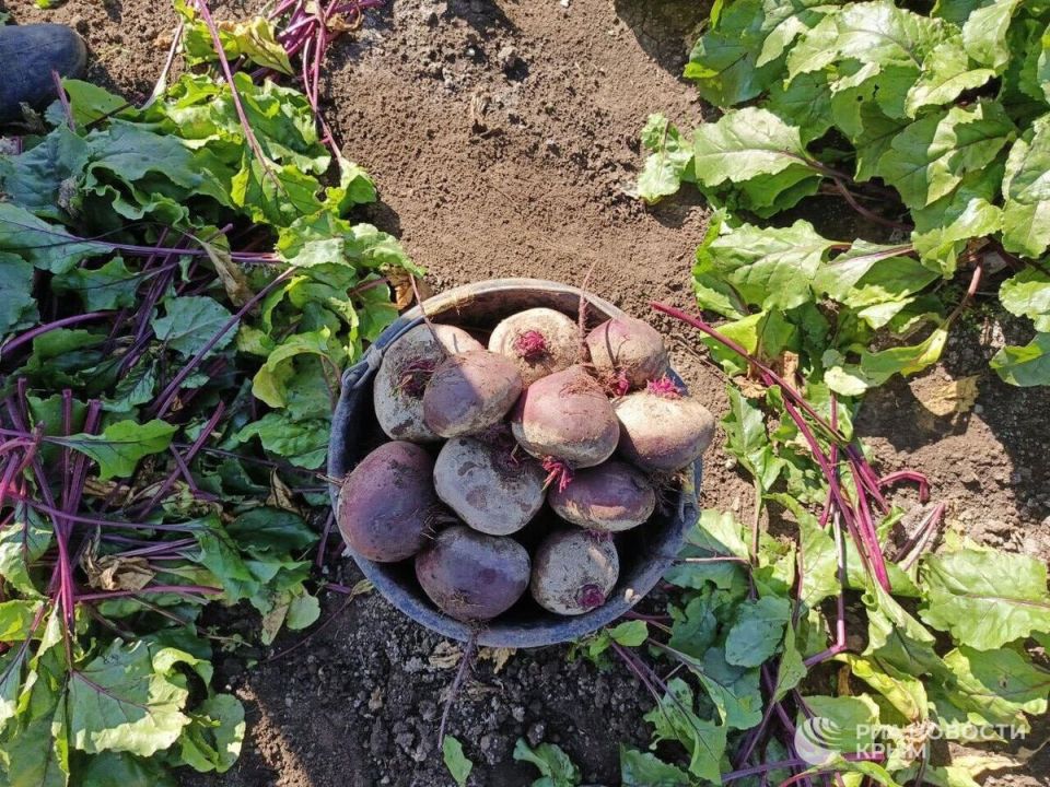 Прощай, октябрь! Пора подводить итоги: Прощай, октябрь! Пора подводить итоги: