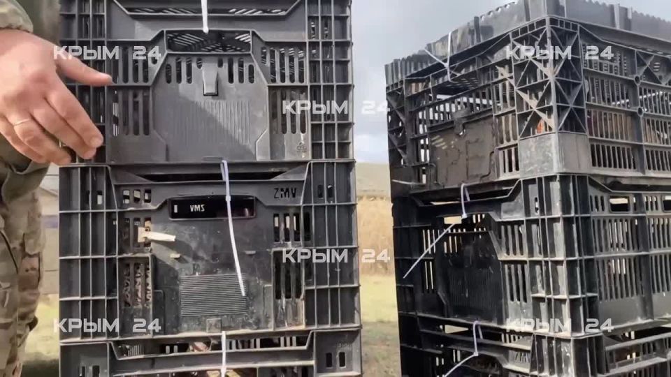 ������� � ���� ��������� � ��������� ������ �� ������ �����