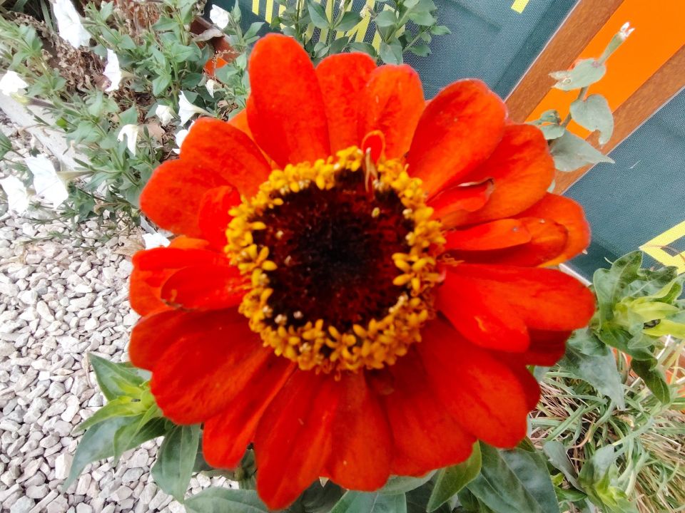 � ������ �����, �������!. ����� ����� ����� ���� ����� ����������� � ������������ ������! ��������, ����������, ��������������, ������� ��� � ������ � �� �������! ������� � �������� �����������, t + 12 - +16, �����...