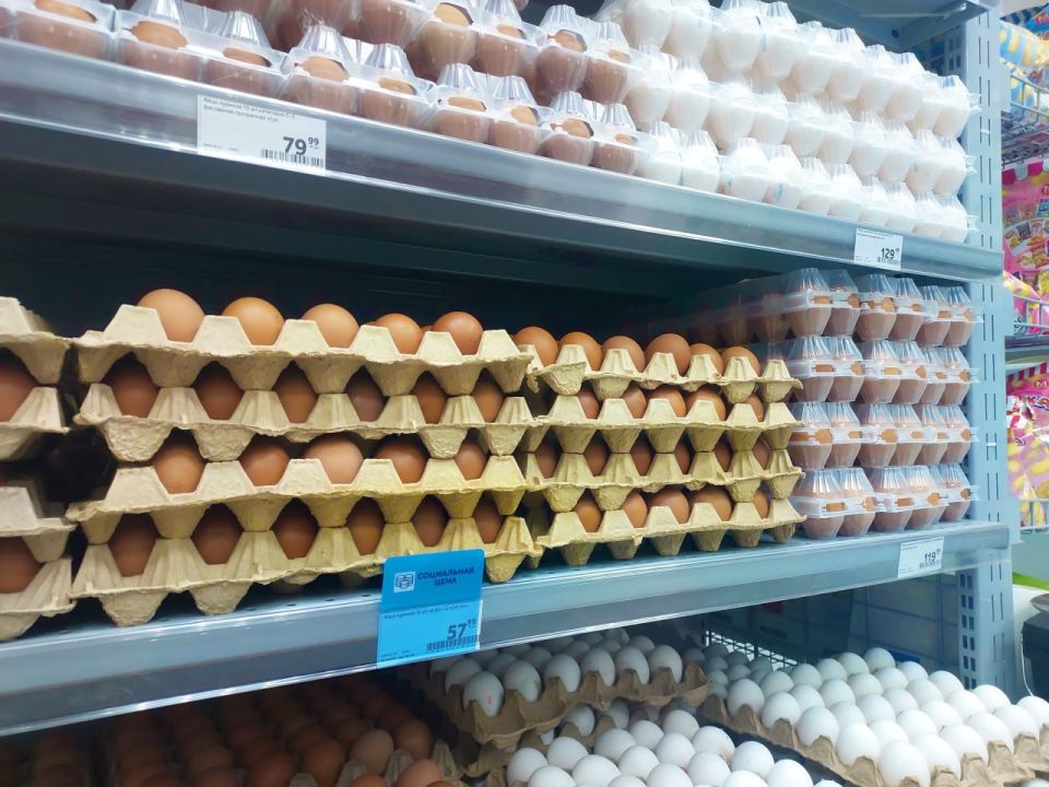 ������ ������: ������� �� ����� �����������, 1� �������� ����� ����������� ���� ��������� ���Ļ!