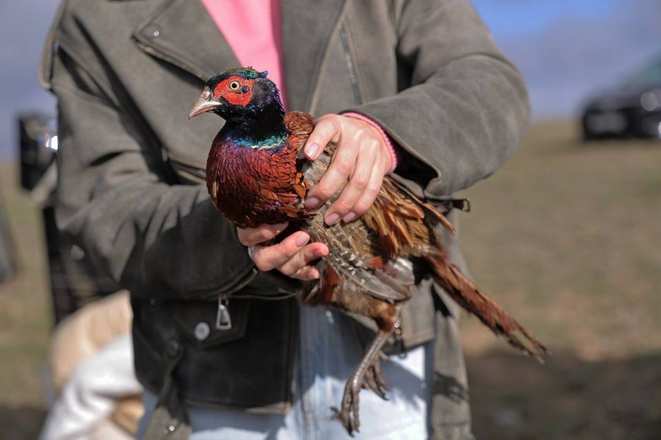 � ����� ��������� 100 ������� � 250 ������ ������ � ����� �������