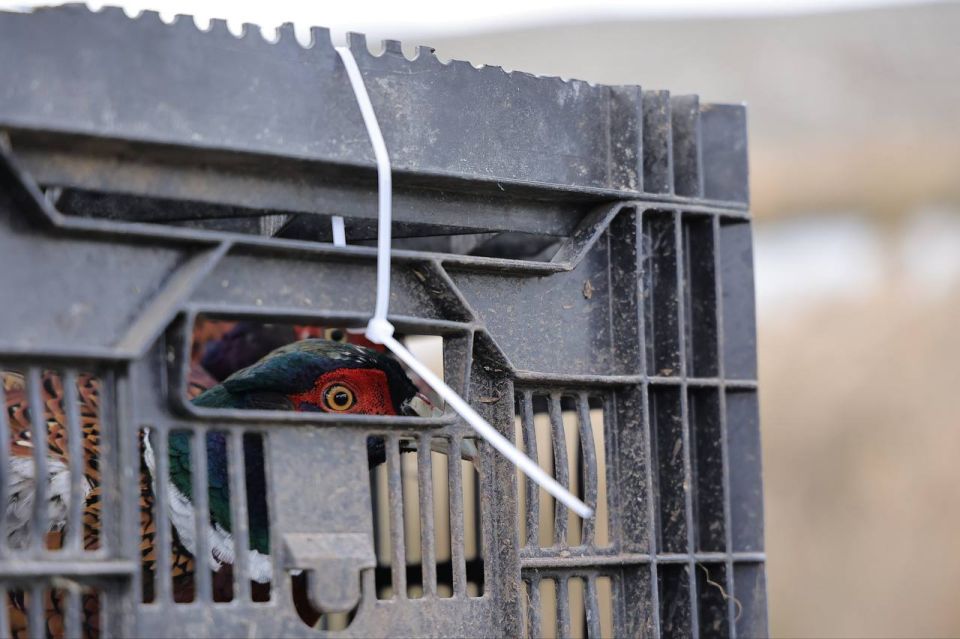 ������� �������� � ��������� �������� ���������� ���� ����� ������� ������� ������� � ���������� ���� � ������ � ������ �������������� �����������