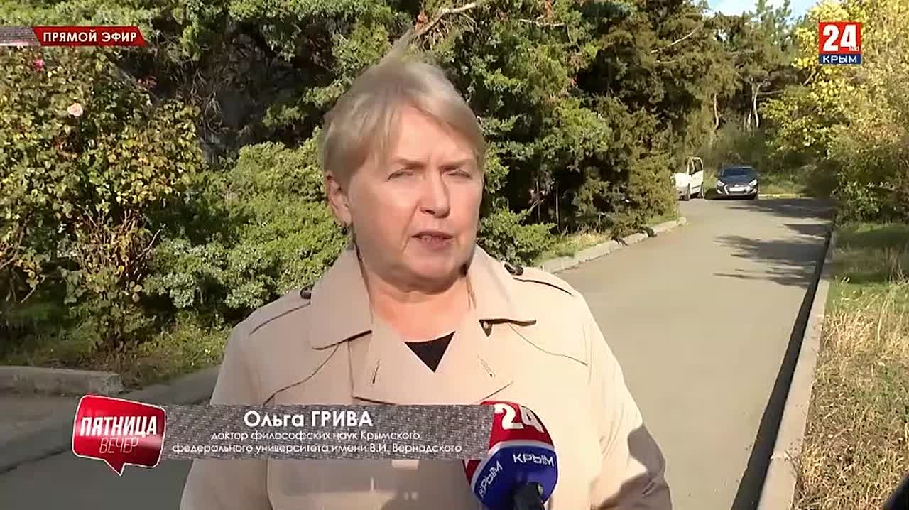 Приюты Крыма вводят временный запрет на отдачу черных кошек перед Хэллоуином