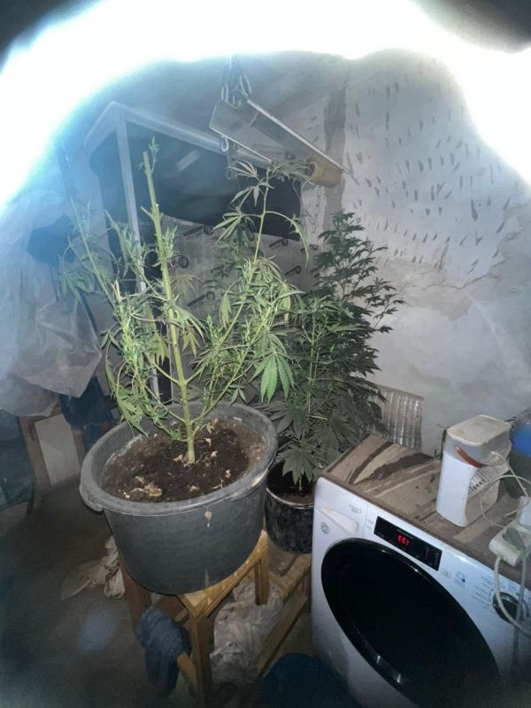 �������� � ������ ����� ���������� ��� ���������� ���������� ������