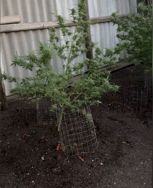 � ����������� ������ 69-������� �������� ������, ������� ���������, ��� ������ 21 �� ��������� � �������� �����