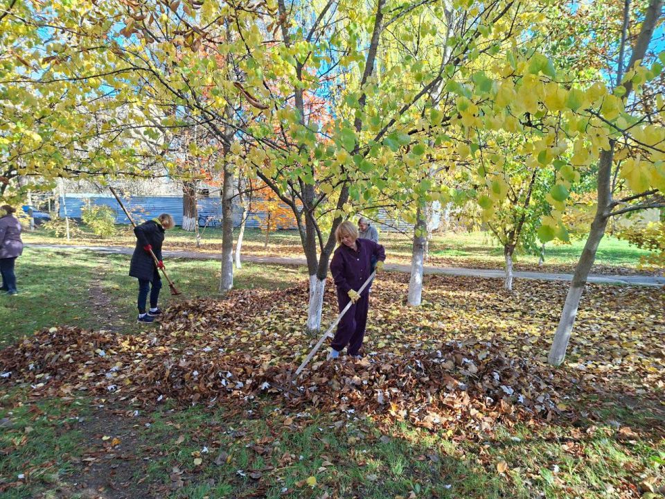 ����� ������: ������� ������� ����������� ������������� ������ �������������� � ���������� � ������ ����������� "������ ����"