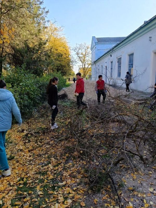 ������ ������������� ������ �������������� � ����������������� ���������� ������� ����