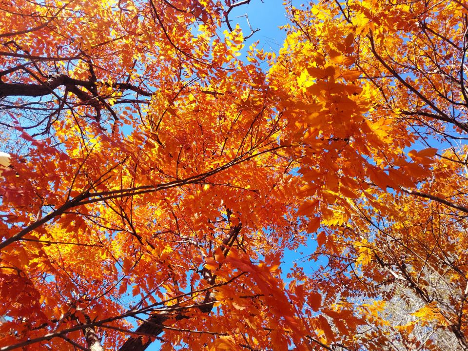 � ������ �����, �������!. ������ � ����� ������� � ����� ���������