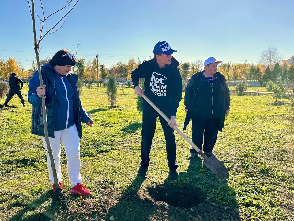 ���� ���������: ������ ������� � ����� ������� ����, �������������� ������� ������� ������