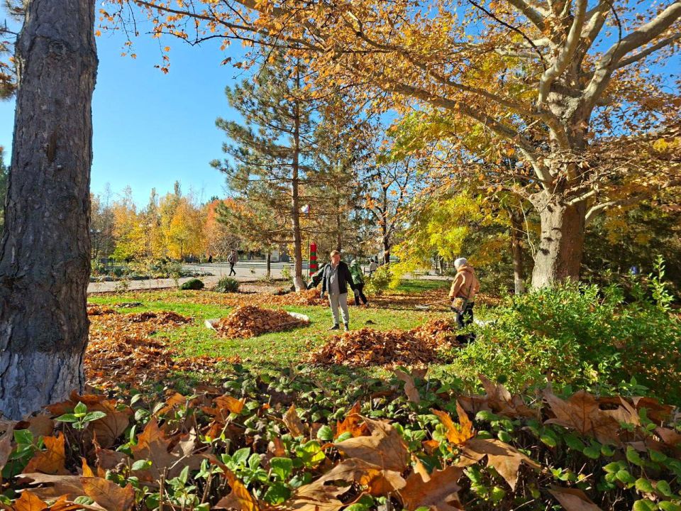 ����� ������: ������� ������� ����������� ������������� ������ �������������� � ���������� � ������ ����������� "������ ����"