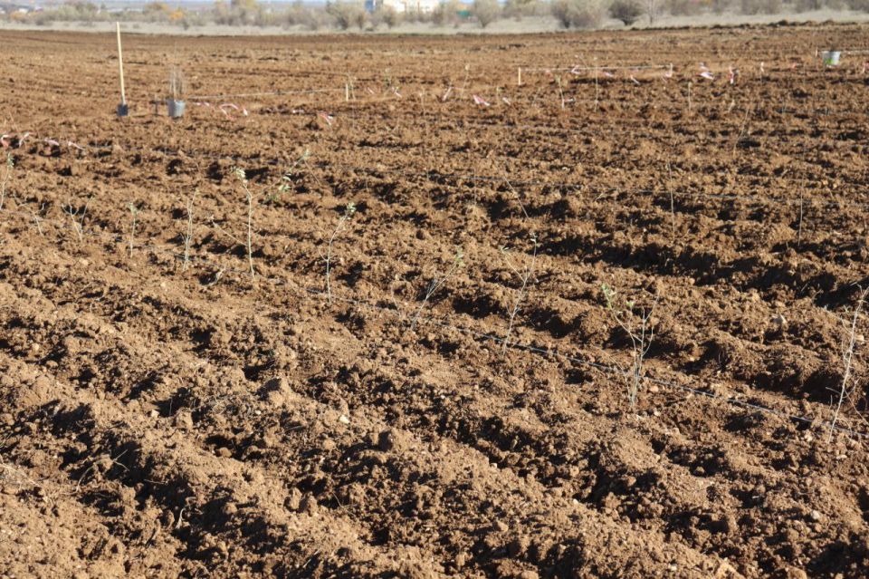 ��������� �������: ����, ��� ������ ������� ����� ���� ��������� ������ ������ ������������� ����� ��������� ��� � �����