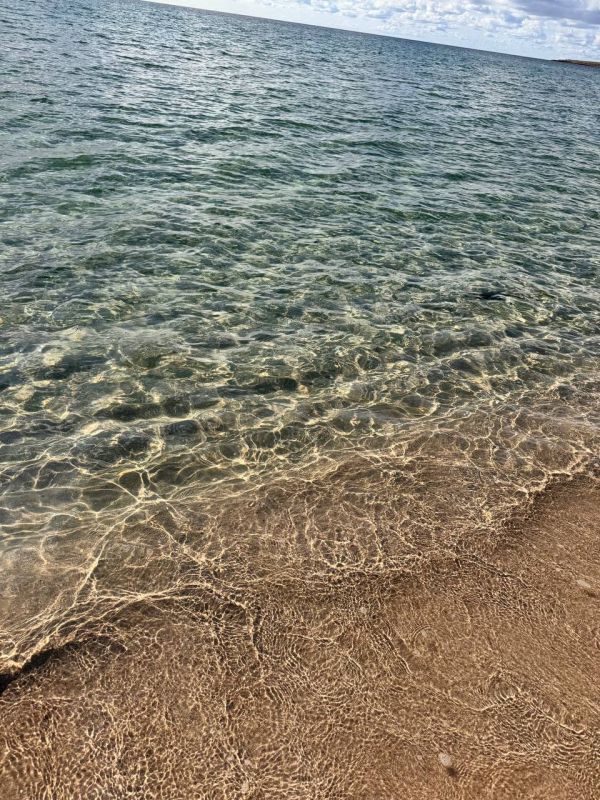 ������� �������� ���������