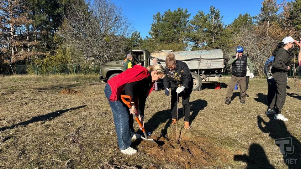 В Крыму стартовала акция «Чистый Крым» В Крыму стартовала акция «Чистый Крым»