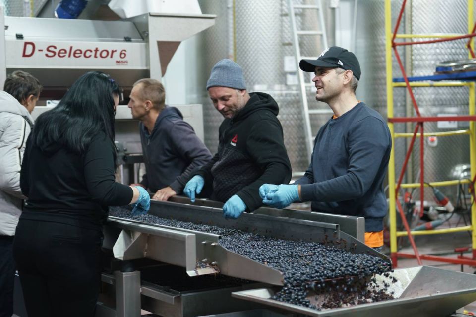 ������ ���������: � ����������� �������� ����� ����� ��������� 2025: ������� 21 ������ ���� ������