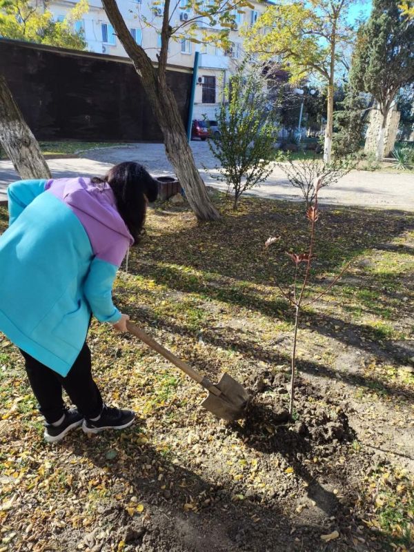 ������ ������������� ������ �������������� � ����������������� ���������� ������� ����