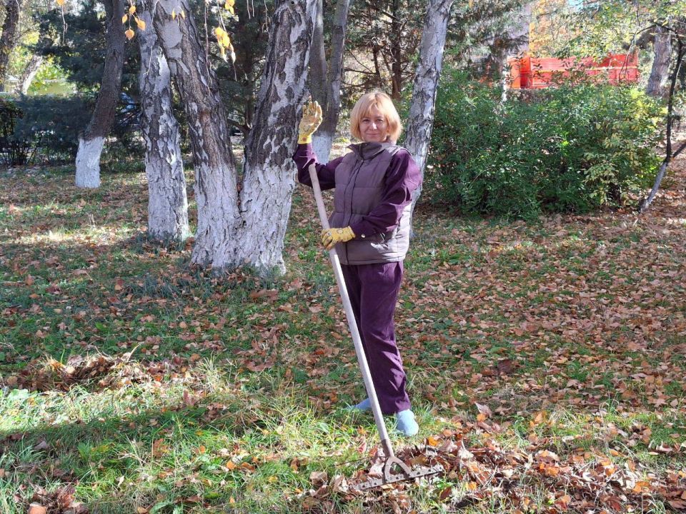 ����� ������: ������� ������� ����������� ������������� ������ �������������� � ���������� � ������ ����������� "������ ����"