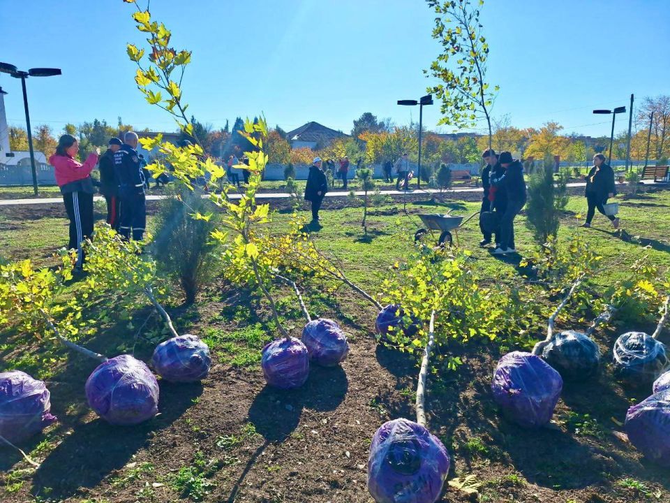 ���� ���������: ������ ������� � ����� ������� ����, �������������� ������� ������� ������