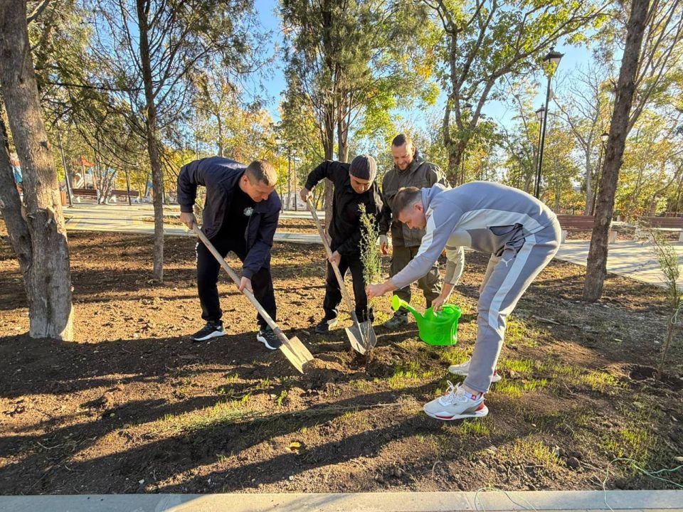 ������ �������: � ������������� ������ ����� ������ ������������� ����� ������� ����