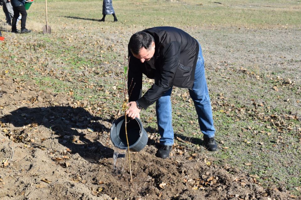 ������ �������: ��������� � ������������ ������������ ������������������ ��������� ������ ������� �����������, ������ ������������� ���������������� ��������� ��������� ������ ���������, ����������� ������������� ������...