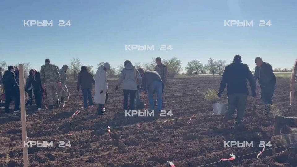 � ����� ��������� ������� ����� ������������� ����� ��������� ���