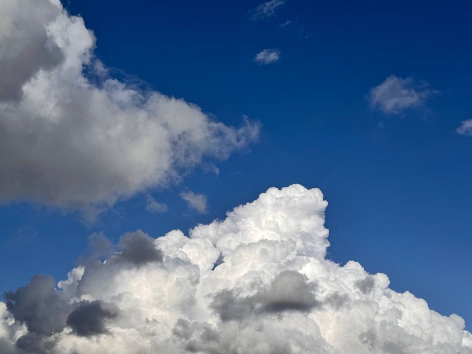 ������� �������� ���������