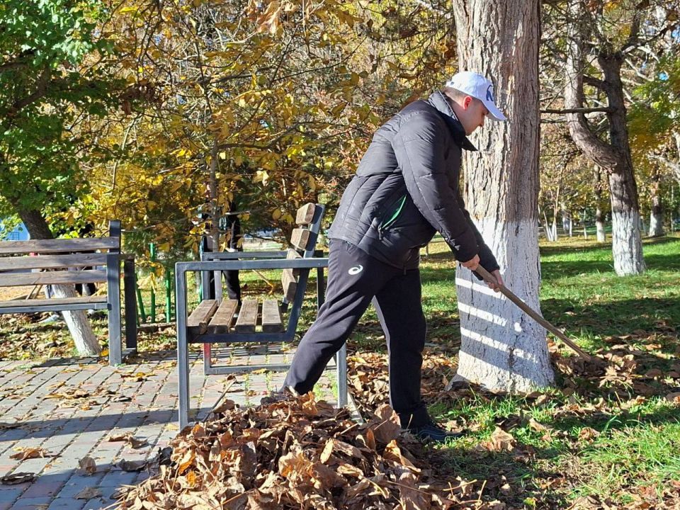 ����� ������: ������� ������� ����������� ������������� ������ �������������� � ���������� � ������ ����������� "������ ����"