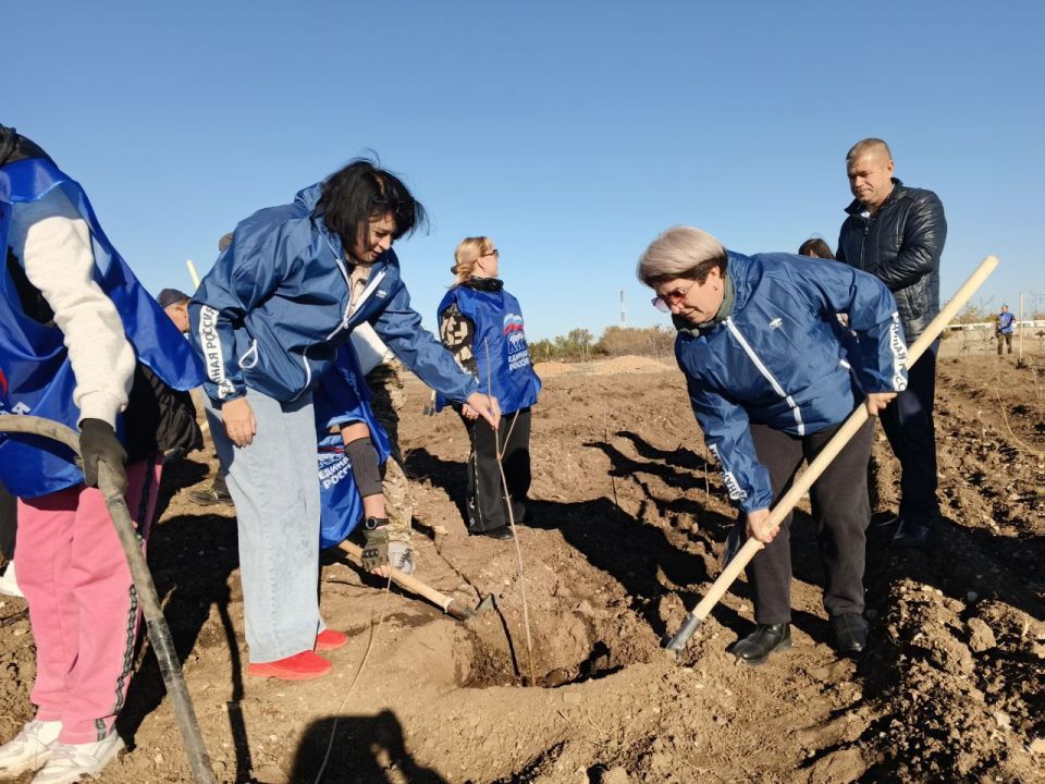 Сегодня в поселке Раздольное прошла высадка деревьев в рамках акции «Чистый Крым» Сегодня в поселке Раздольное прошла высадка деревьев в рамках акции «Чистый Крым»