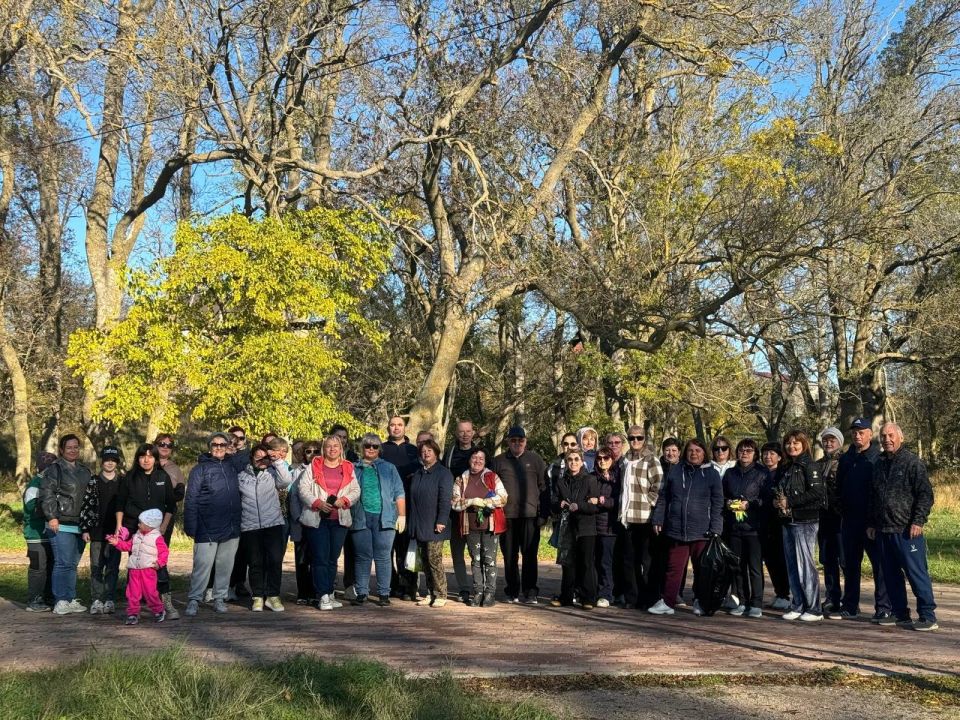 ��������� �������: ������� � ������������ ������ ������ ���������� ��������� � ������ ����������� ����� ������� ����, �������������� ������� ������� �������