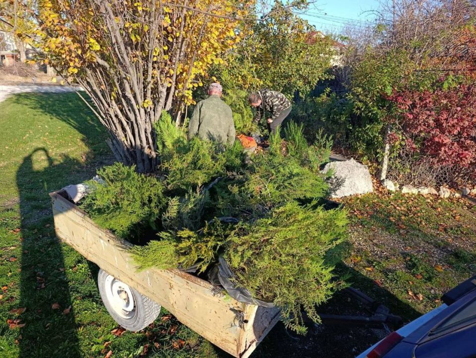 ������� �������: ������� ���� ����������� ����� ������� ���� ������������ � ������ ������ ���� ��� ������� ���� � ������ ������� � ���������� ��������������� ������������� ����� ������� ����