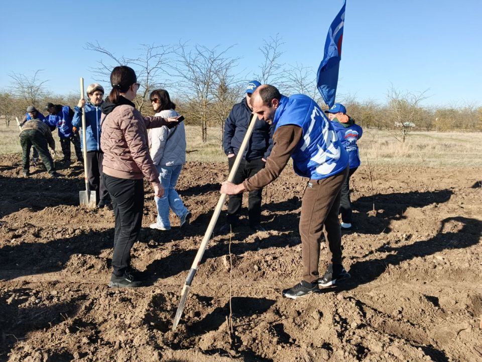 Сегодня в поселке Раздольное прошла высадка деревьев в рамках акции «Чистый Крым» Сегодня в поселке Раздольное прошла высадка деревьев в рамках акции «Чистый Крым»