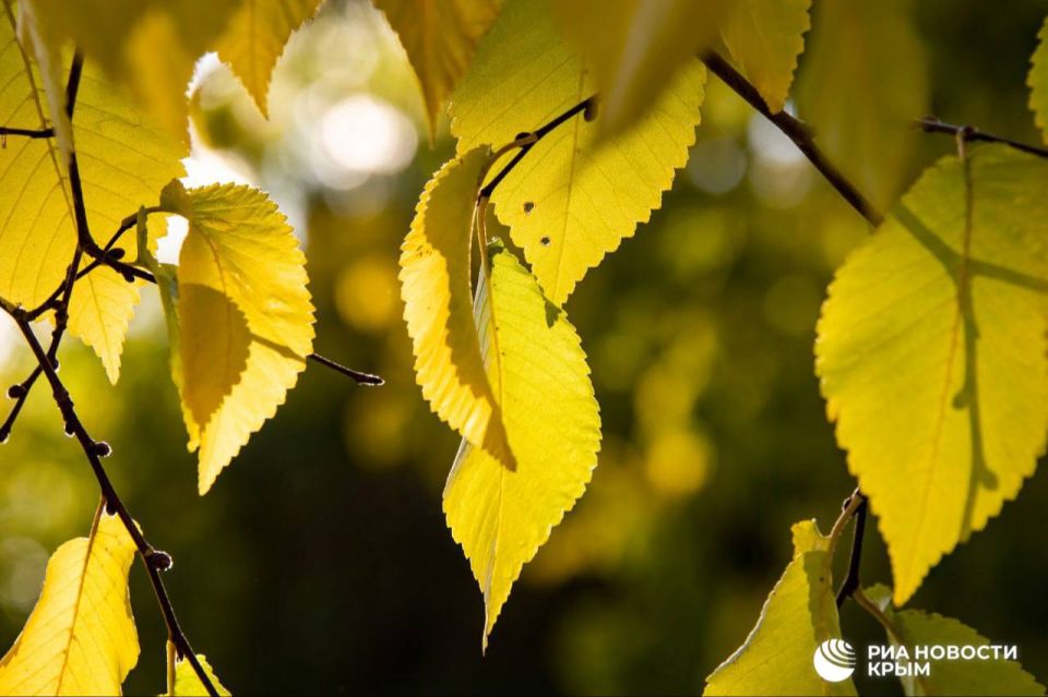 ������� ������ � ����� �� �������