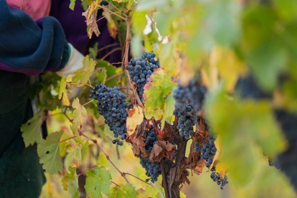 ������ ���������: � ����������� �������� ����� ����� ��������� 2025: ������� 21 ������ ���� ������