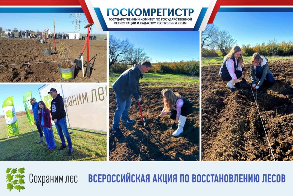 СОТРУДНИКИ ГОСКОМРЕГИСТРА ПОДДЕРЖАЛИ ВСЕРОССИЙСКУЮ АКЦИЮ «СОХРАНИМ ЛЕС»