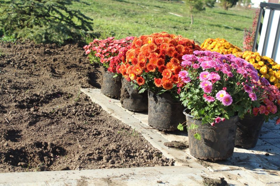 � ������ ���������� ������� ������� ������ ������� ���� �� ���������� ���������� ������ ���������� ������������� ����� ������� ��� ������ �����