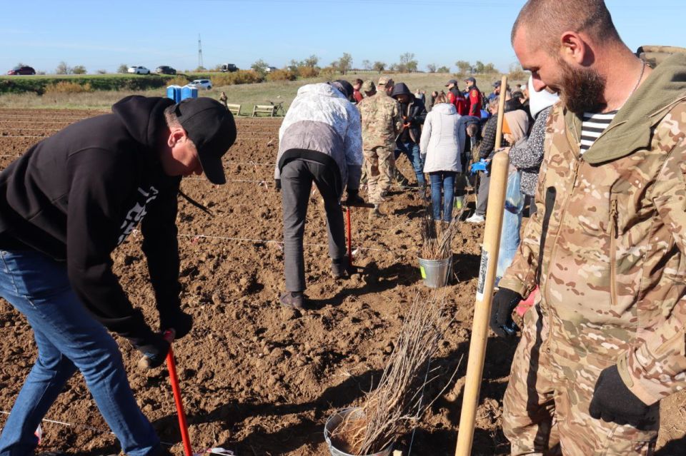 ��������� �������: ����, ��� ������ ������� ����� ���� ��������� ������ ������ ������������� ����� ��������� ��� � �����