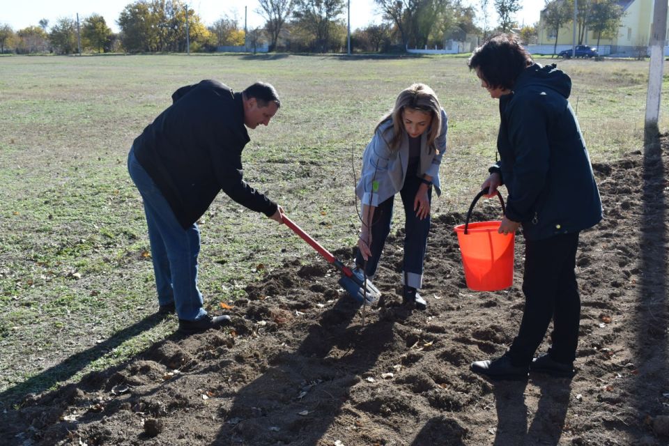 ������ �������: ��������� � ������������ ������������ ������������������ ��������� ������ ������� �����������, ������ ������������� ���������������� ��������� ��������� ������ ���������, ����������� ������������� ������...