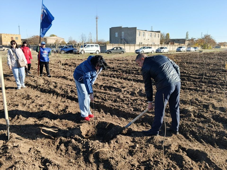 Сегодня в поселке Раздольное прошла высадка деревьев в рамках акции «Чистый Крым» Сегодня в поселке Раздольное прошла высадка деревьев в рамках акции «Чистый Крым»