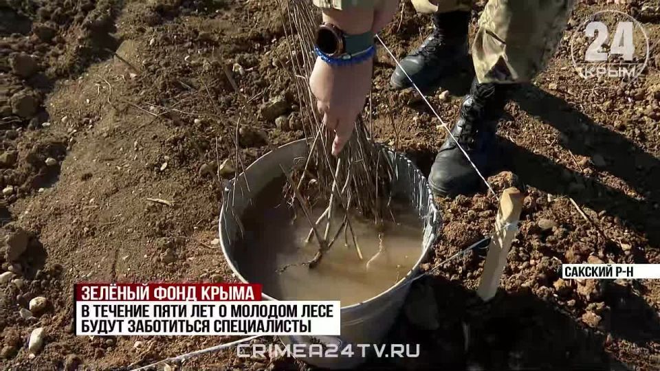 ����� 10 ����� ������� �������� �������� � ������� ������