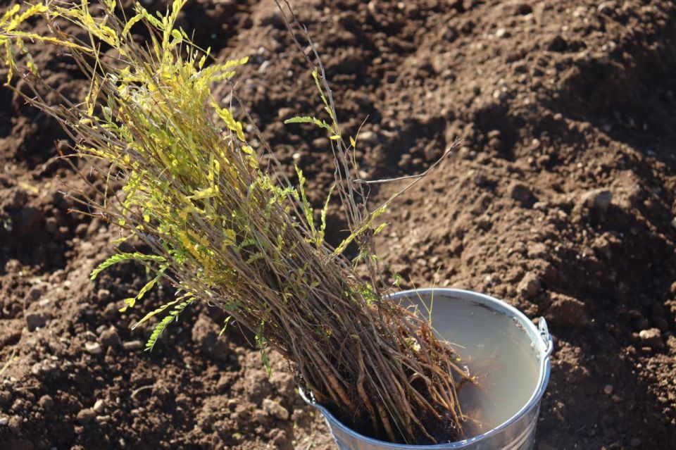 ��������� �������: ����, ��� ������ ������� ����� ���� ��������� ������ ������ ������������� ����� ��������� ��� � �����