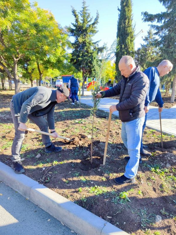 ������ �������: � ������������� ������ ����� ������ ������������� ����� ������� ����