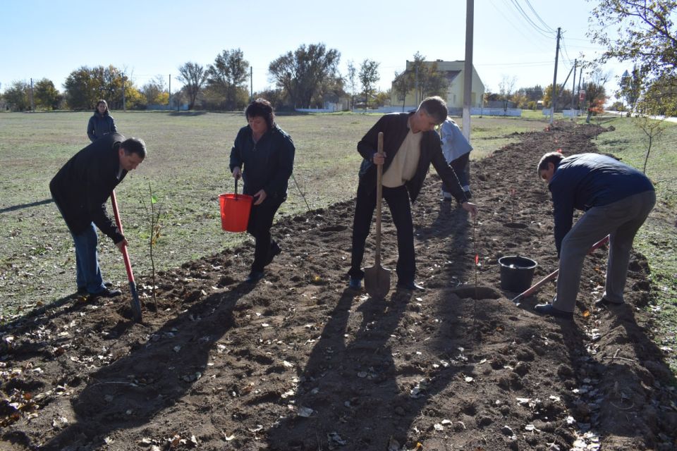 ������ �������: ��������� � ������������ ������������ ������������������ ��������� ������ ������� �����������, ������ ������������� ���������������� ��������� ��������� ������ ���������, ����������� ������������� ������...