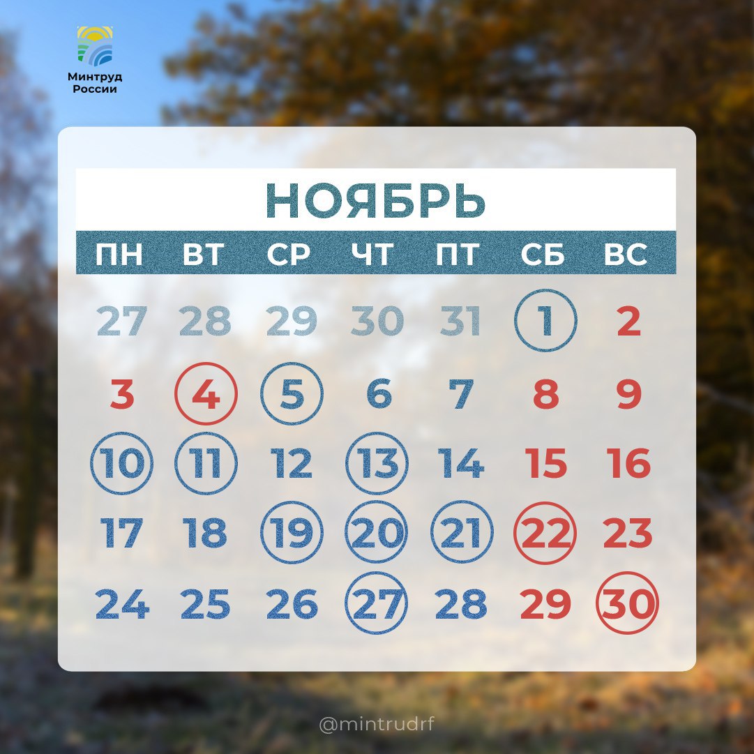Сегодня в рубрике #PROДень – профессиональные и семейные праздники, дополнительные выходные ноября