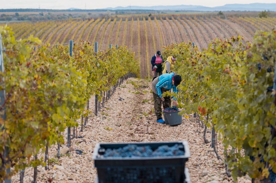 ������ ���������: � ����������� �������� ����� ����� ��������� 2025: ������� 21 ������ ���� ������