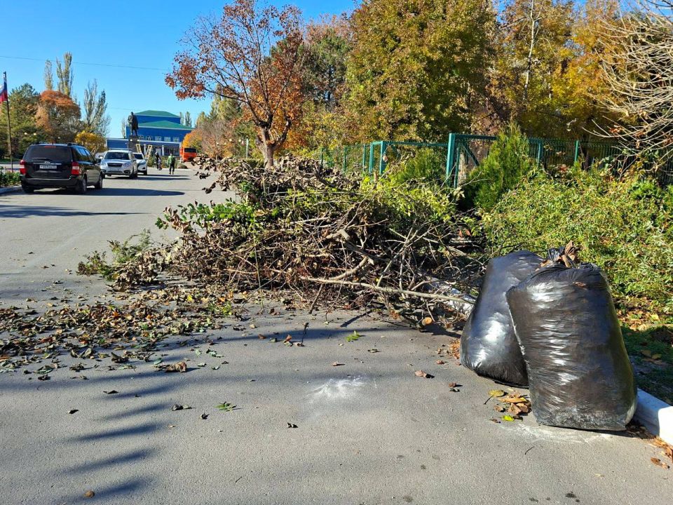 ����� ������: ������� ������� ����������� ������������� ������ �������������� � ���������� � ������ ����������� "������ ����"