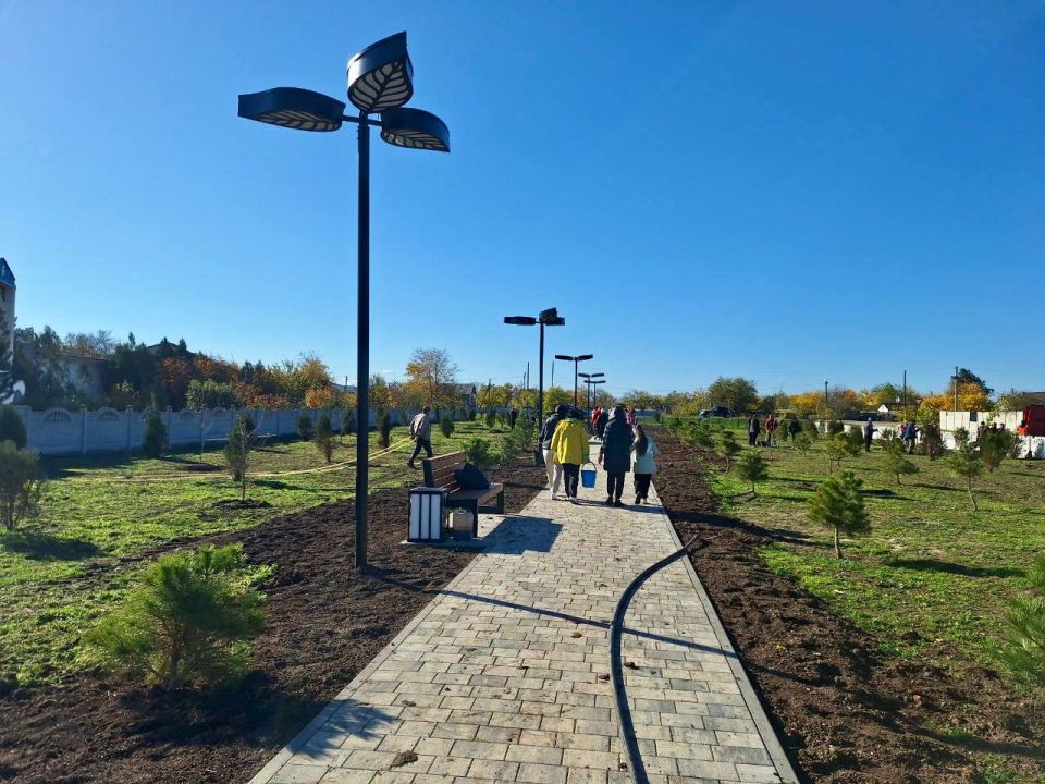 ���� ���������: ������ ������� � ����� ������� ����, �������������� ������� ������� ������