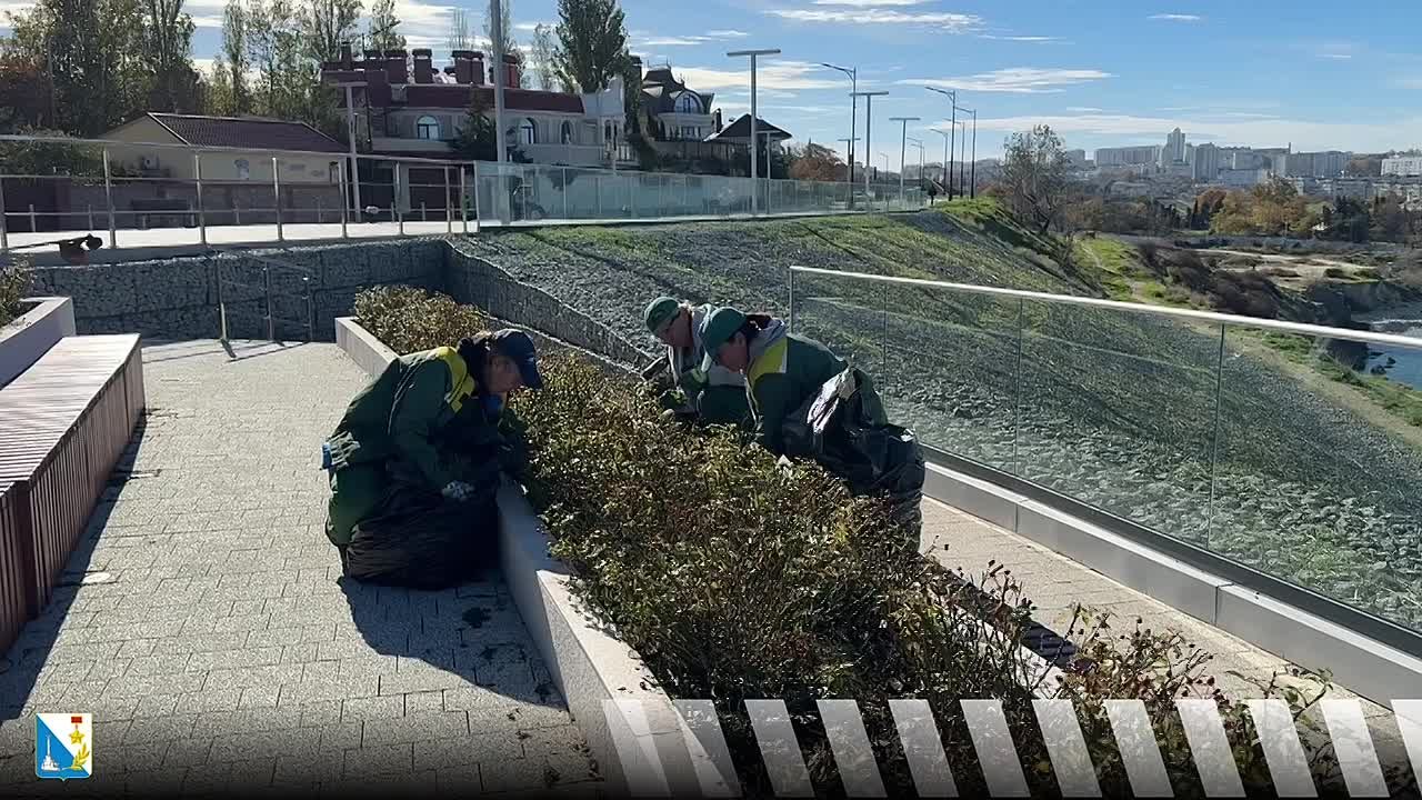 Ухаживаем за цветами. В сквере на территории Мемориального комплекса на улице Катерной обновили розарий