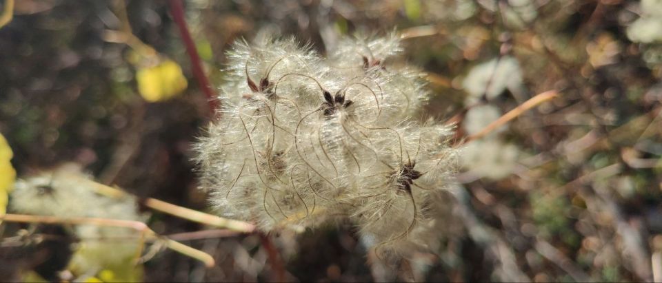 ���������� ������� ��� � �����