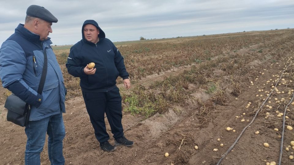 ������ �������: ������ ������� �������� �������������� ������������������ ������: ������� �� �����